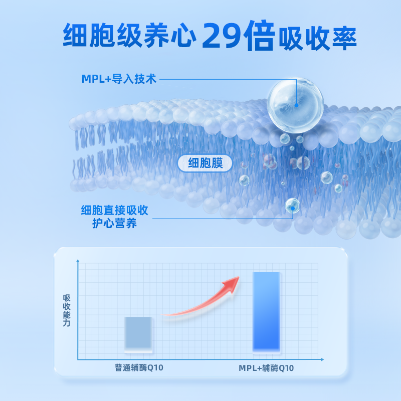 德国Candypeti狗狗辅酶q10猫咪预防保护心脏肥大宠物心肌肥大,淘宝优惠券,粉丝福利购,淘宝优惠卷
