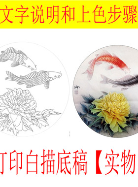 工笔画底稿牡丹鲤鱼团扇白描打印稿宣纸稿有绘制步骤图文字