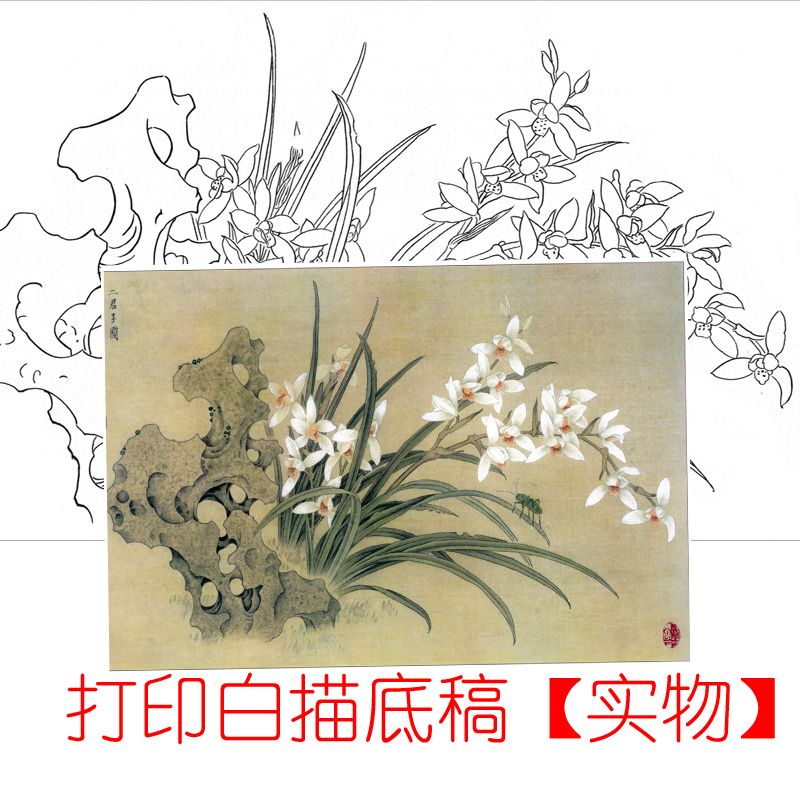 工笔画花鸟底稿工笔兰花草虫横幅参考白描9#打印稿宣纸稿,淘宝优惠券,粉丝福利购,淘宝优惠卷