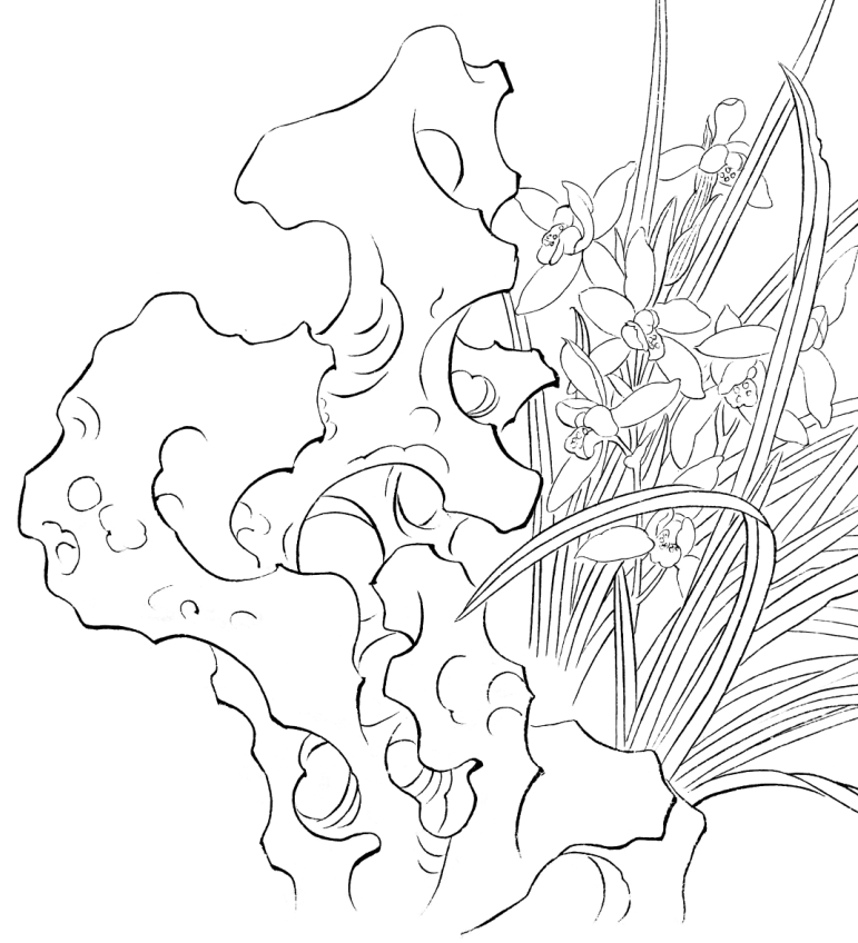 工笔画花鸟底稿工笔兰花草虫横幅参考白描9#打印稿宣纸稿,淘宝优惠券,粉丝福利购,淘宝优惠卷