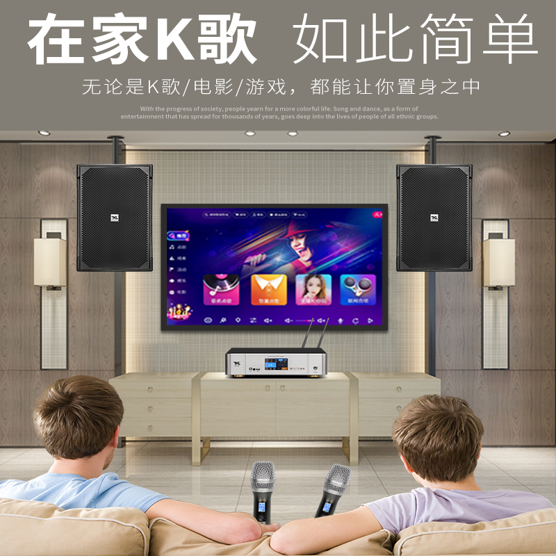TKL 12-inch high-power KTV special speaker