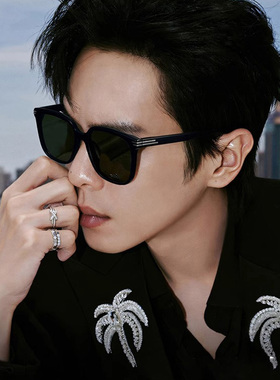 2025新款【王鹤棣同款】大框墨镜