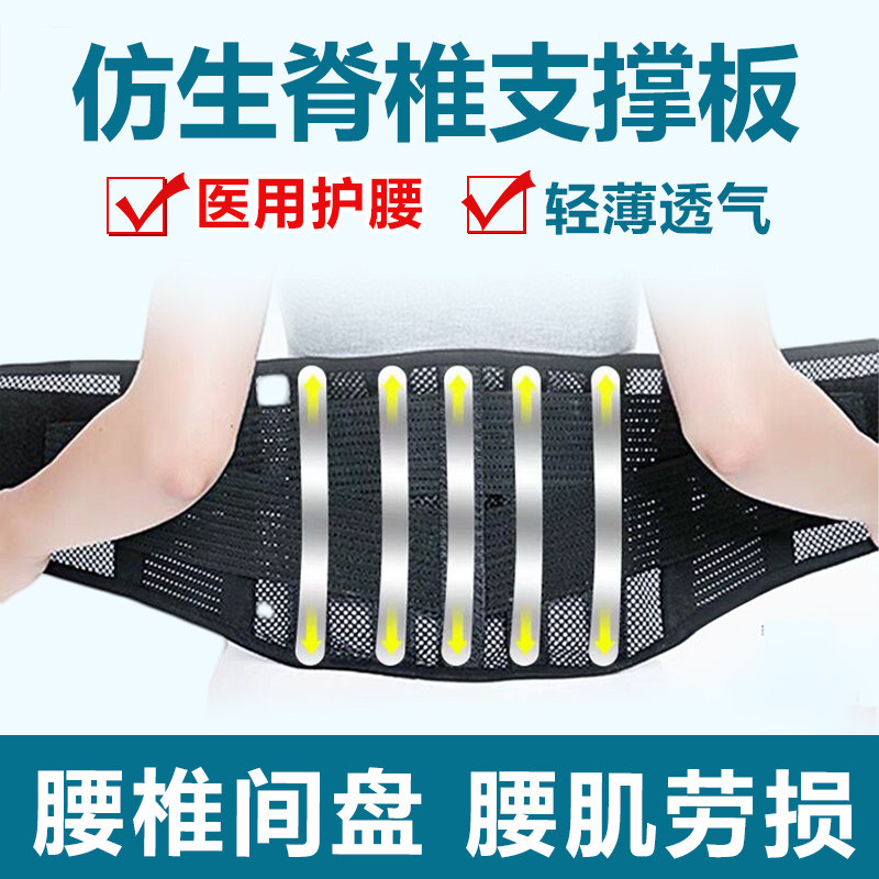 劳损突出腰椎男女士医用护腰带 俞兆林众创空间护具（器械）