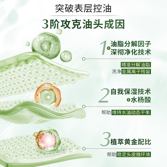 Shiseido Professional Hair Oil Control Shampoo