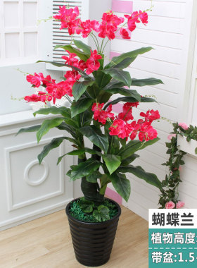 发财树仿真绿植假树红掌盆栽
