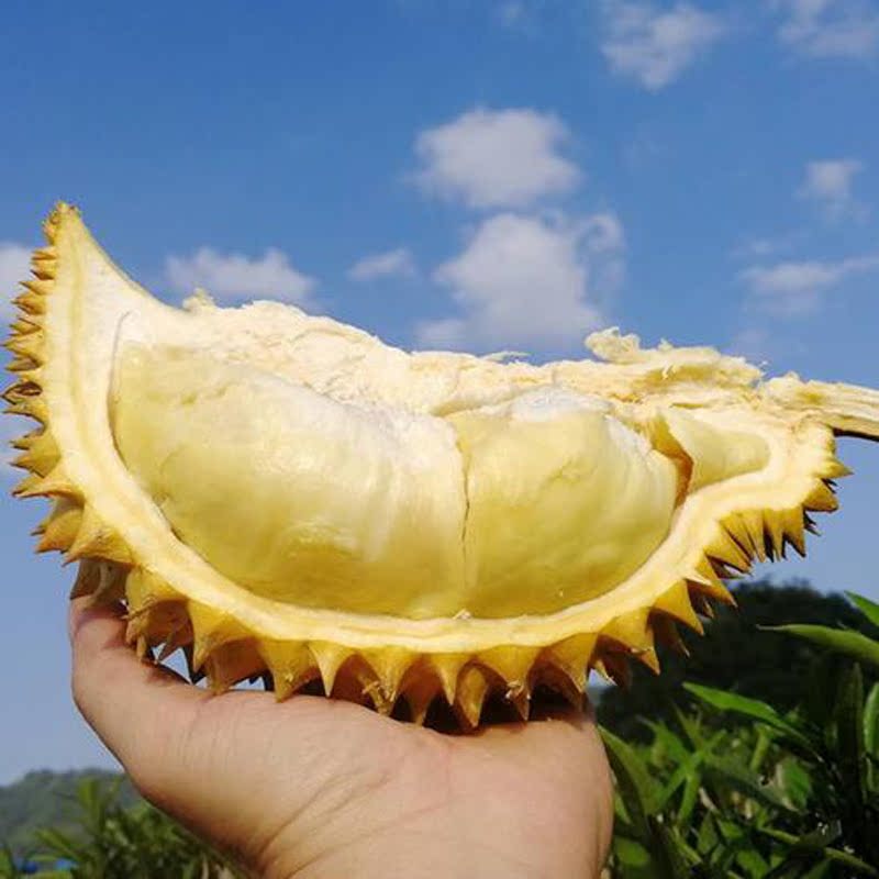 乐知果旗舰店泰国进口金枕头榴莲当季新鲜水果包邮整箱巴掌榴莲带壳2-6斤一箱1