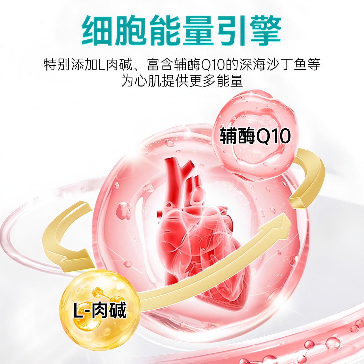 汉维宠仕艾可心犬猫心脏q10营养辅助片养心护心脏辅酶营养剂,淘宝优惠券,粉丝福利购,淘宝优惠卷