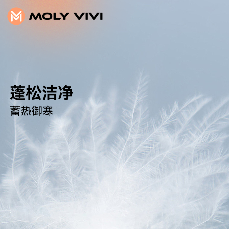 MOLYVIVI加厚羽绒服女白鸭绒秋冬新款工装风可拆卸帽短款保暖外套-图0