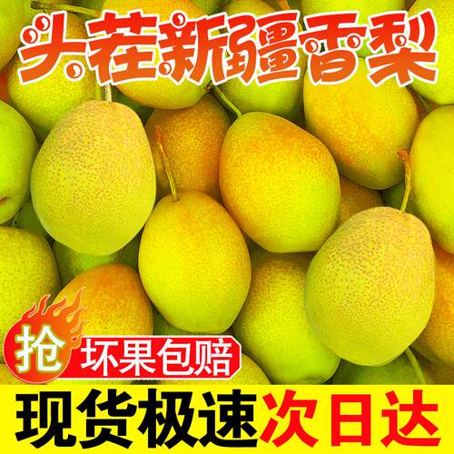 现摘红香酥梨10斤当季梨子新鲜5斤包邮整箱3斤香梨应脆甜多汁时令 - 图0