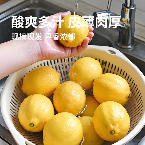 四川安岳黄柠檬新鲜现摘柠檬鲜果薄皮柠檬当季水果整箱包邮 - 图1