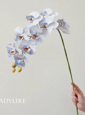 高端仿真蝴蝶兰花 婚庆家居软装饰兰花假花仿真花摆件B278