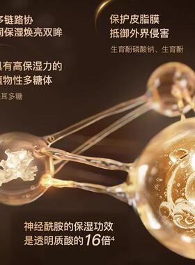 闪蝶4d神经酰胺电眼精华保湿抗皱