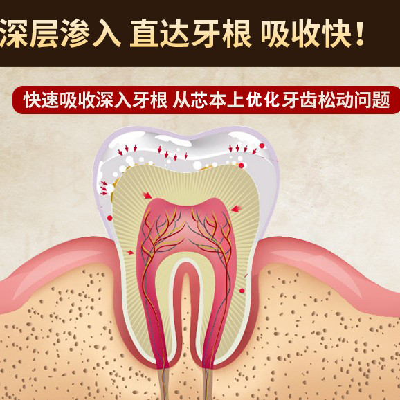 牙龈萎缩修复再牙缝牙齿松动牙粉 英族家居牙粉