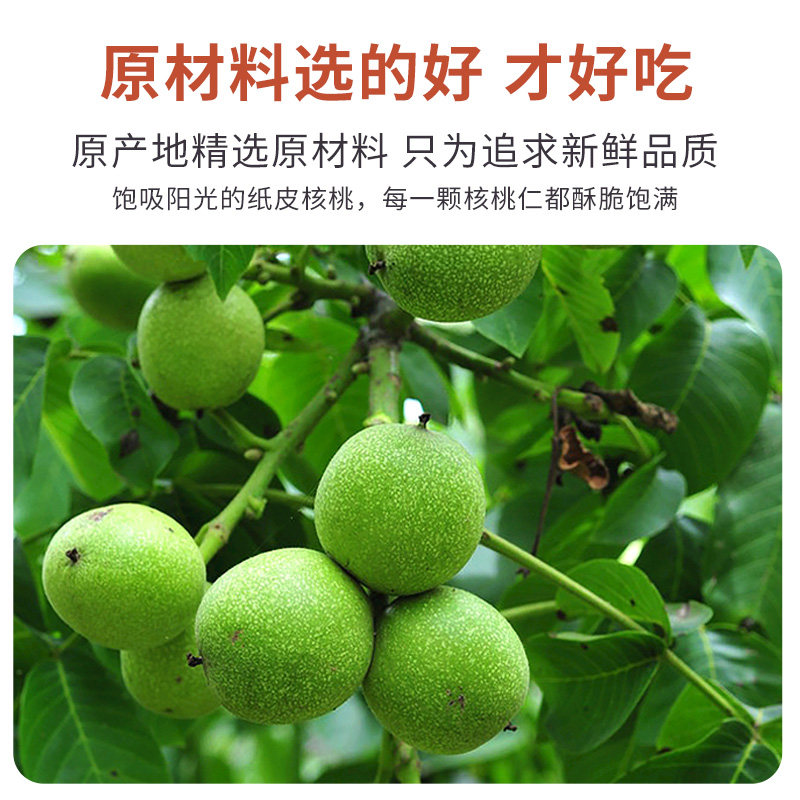 新货琥珀蜂蜜新鲜小包装即食核桃仁 兔千金核桃仁