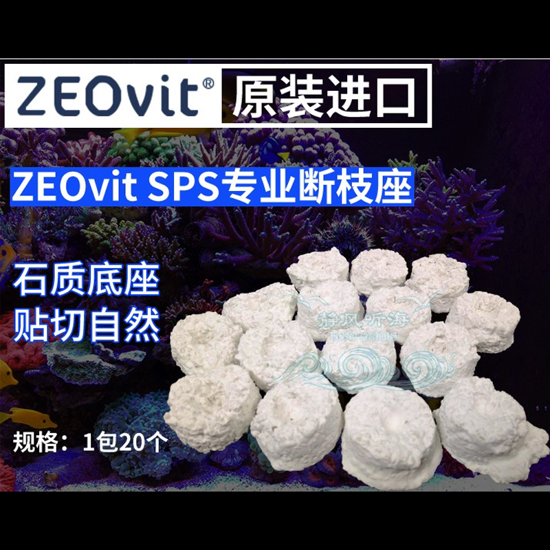 ZEO基座珊瑚sps纽扣底座断枝座造景lps断肢繁殖支撑硬骨海水海缸-图0