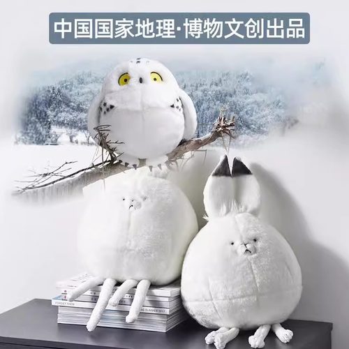 博物文创雪鸮小猫头鹰女孩毛绒玩具小鸟玩偶女生公仔鸟类动物抱枕 - 图0