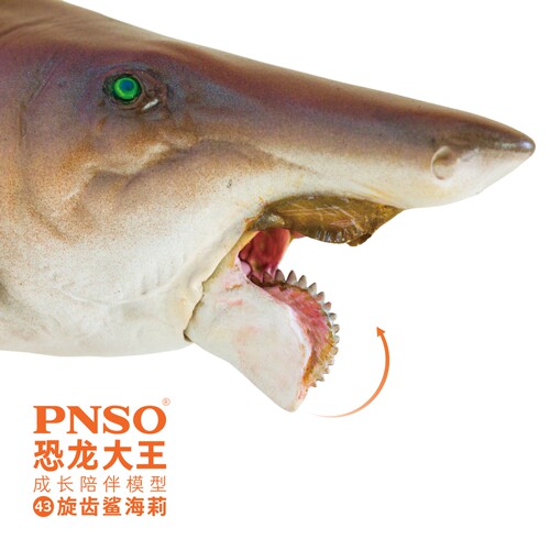 PNSO旋齿鲨海莉恐龙大王成长陪伴模型43 - 图1