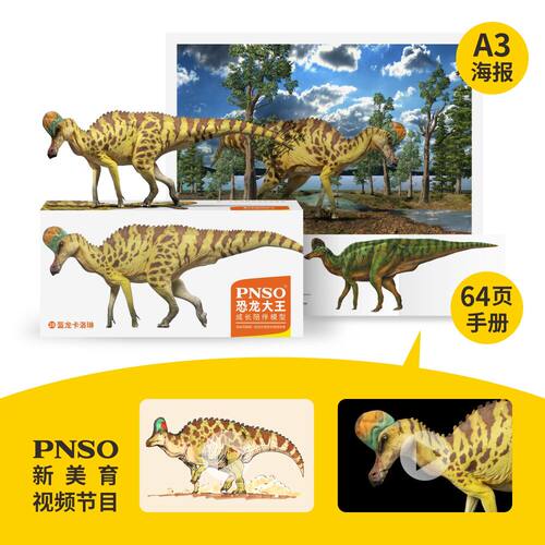 PNSO盔龙卡洛琳恐龙大王成长陪伴模型28 - 图0