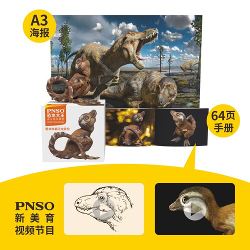 PNSO幼年霸王龙亚伦恐龙大王成长陪伴模型26 - 图0