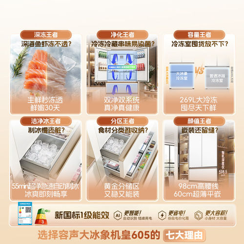 容声 BCD-605Q60FZNBD家用双系统自动制冰法式多门冰箱等级机 - 图0