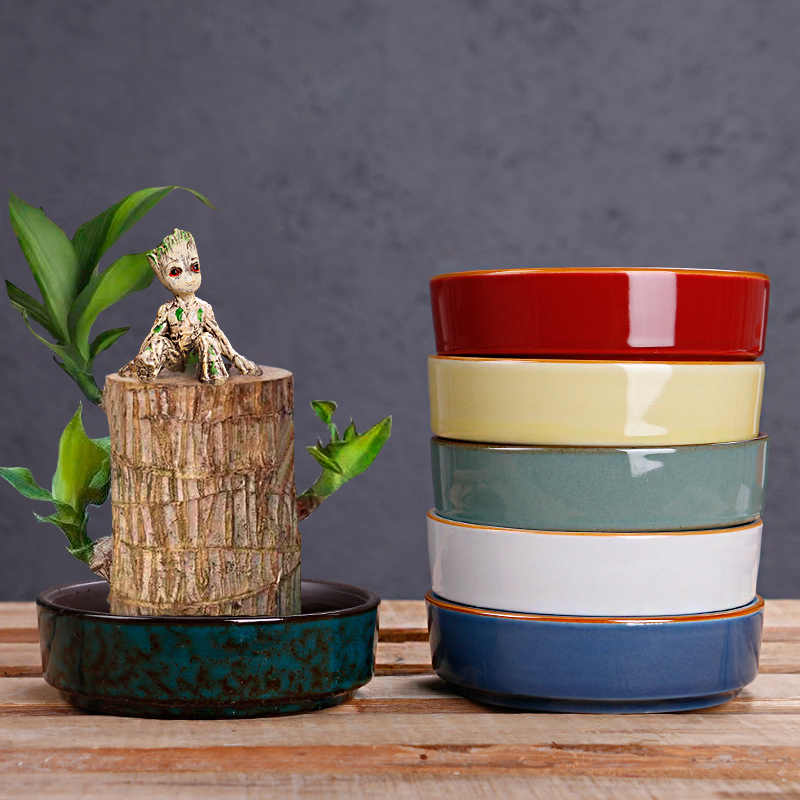 富贵花盆栽 新人首单立减十元 21年9月 淘宝海外