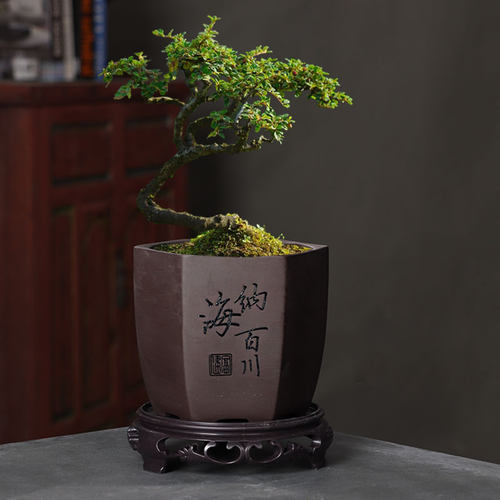 紫砂素盆雕刻大花盆多肉圆形六方阳台盆栽盆景肉肉菖蒲绿植带底座 - 图1