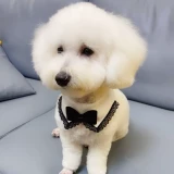 Шарф, слюнявчик, галстук-бабочка, аксессуар