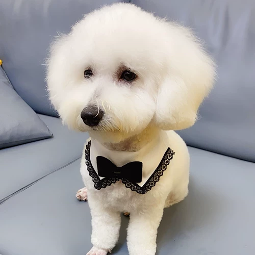 Шарф, слюнявчик, галстук-бабочка, аксессуар