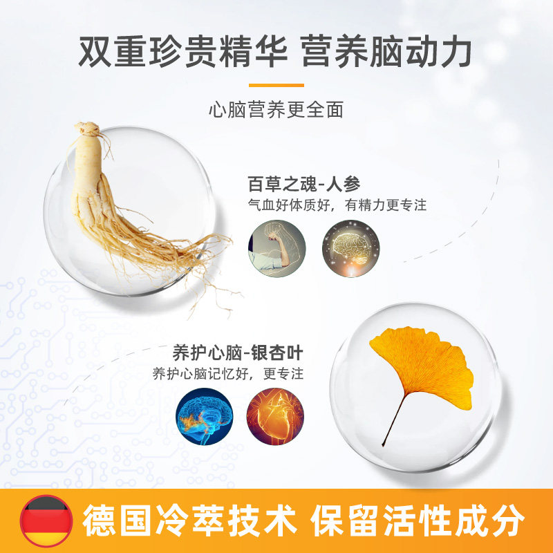 强力脑活素德国进口补脑人参胶囊 健盈海外银杏/人参银杏