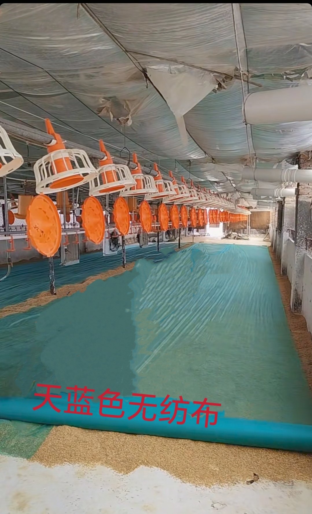 养鸡育雏垫无纺布,淘宝优惠券,粉丝福利购,淘宝优惠卷