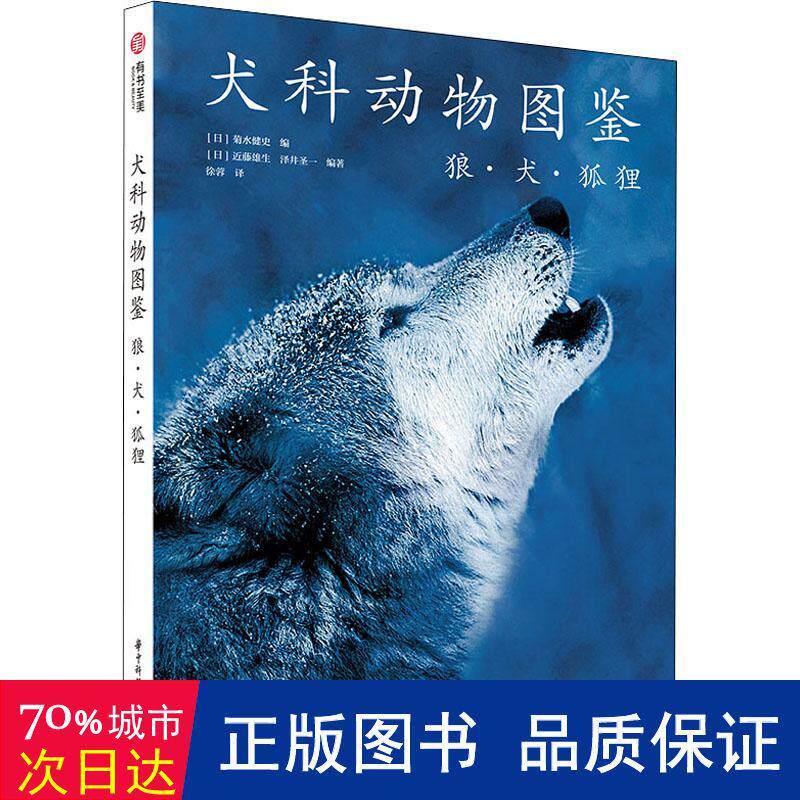 犬科 新人首单立减十元 21年9月 淘宝海外