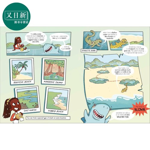 DK事实调查局 2册 海洋+宇宙 The Fact-Finders Ocean Universe 英文原版 儿童科普绘本 自然科学读物 进口童书 又日新 - 图2