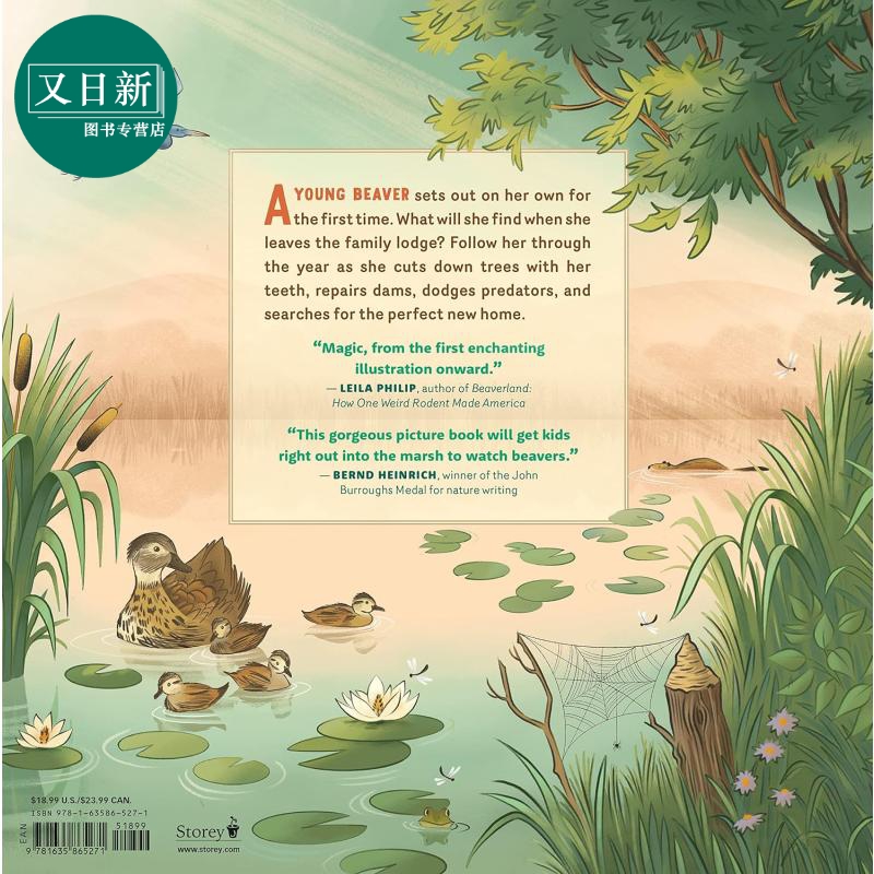 Carrie Shryock What Goes on inside a Beaver Pond 池塘里的海狸 英文原版进口图书 儿童绘本 动物科普图画书 又日新