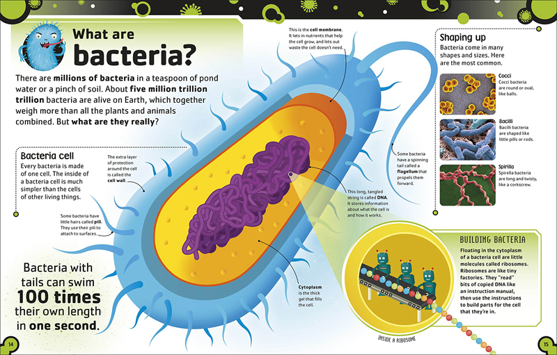 DK细菌手册精装 英文原版The Bacteria Book 微生物知识百科 病毒、真菌、藻类、古菌和原生动物 进口书籍 启发儿童对细菌的? - 图0