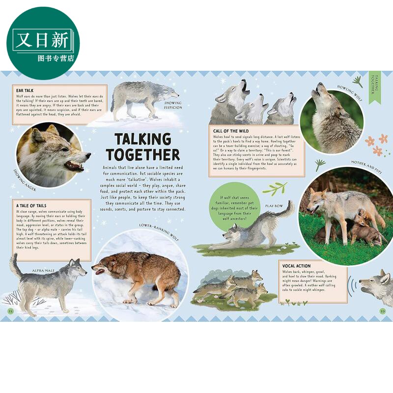 DK动物说 Animal Talk 英文原版 儿童科普绘本 动物知识百科图画书 7岁以上 进口自然科学读本 精装 动物对话交流 又日新