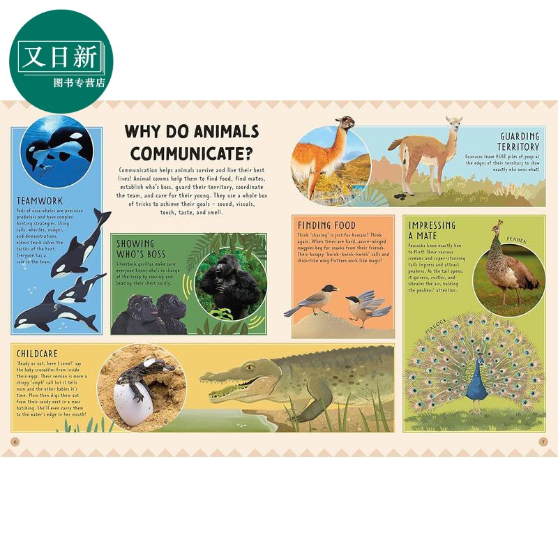 DK动物说 Animal Talk 英文原版 儿童科普绘本 动物知识百科图画书 7岁以上 进口自然科学读本 精装 动物对话交流 又日新