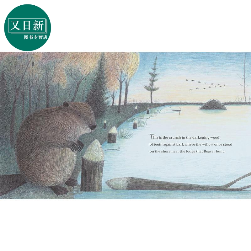 The Lodge That Beaver Built 海狸建造的小屋 英文原版 进口图书 儿童绘本 动物故事图画书 又日新