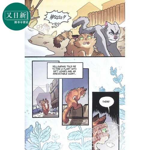 Warriors猫武士系列 猫武士漫画版 猫武士一二三四五六七部曲全套赠音频 英文原版 全彩漫画故事 传奇的猫族 儿童文学玄幻章节小说 - 图2