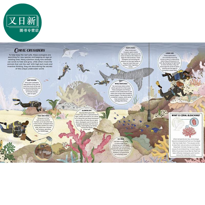 The Who What Why of Zoology The Incredible Science of the Animal Kingdom动物王国不可思议的科学 英文原版 又日新 - 图1