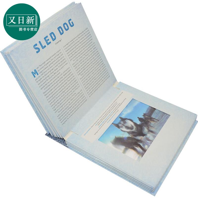 光与影视觉书系列 会动的3D立体图片书 极地 英文原版 Polar A Photicular Book 儿童动物科普 进口童书 又日新