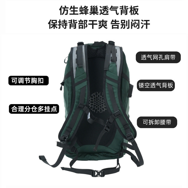 图 3