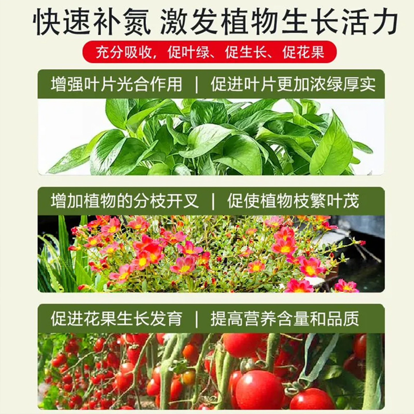 尿素蔬菜专用肥料养花绿植盆栽室内花卉小颗粒氮肥复合肥农用种菜,淘宝优惠券,粉丝福利购,淘宝优惠卷