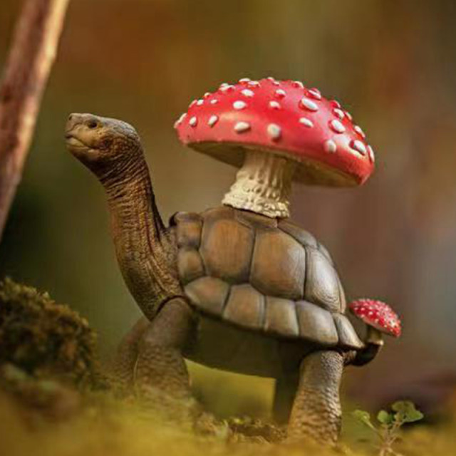 Taiwan Genuine Luyao Yuanchuang Ecological Fantasy Turtle