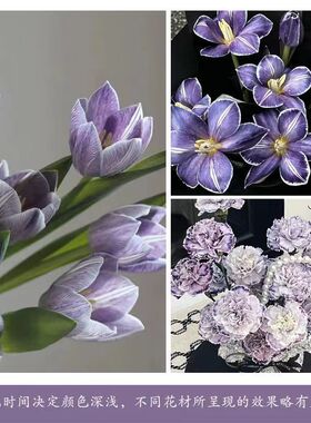 鲜花喷漆花艺喷色剂20