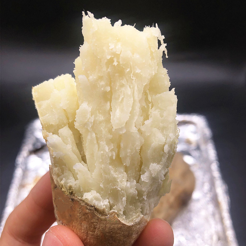 白皮白瓤人参薯牛奶板栗5斤10地瓜 薯中情番薯