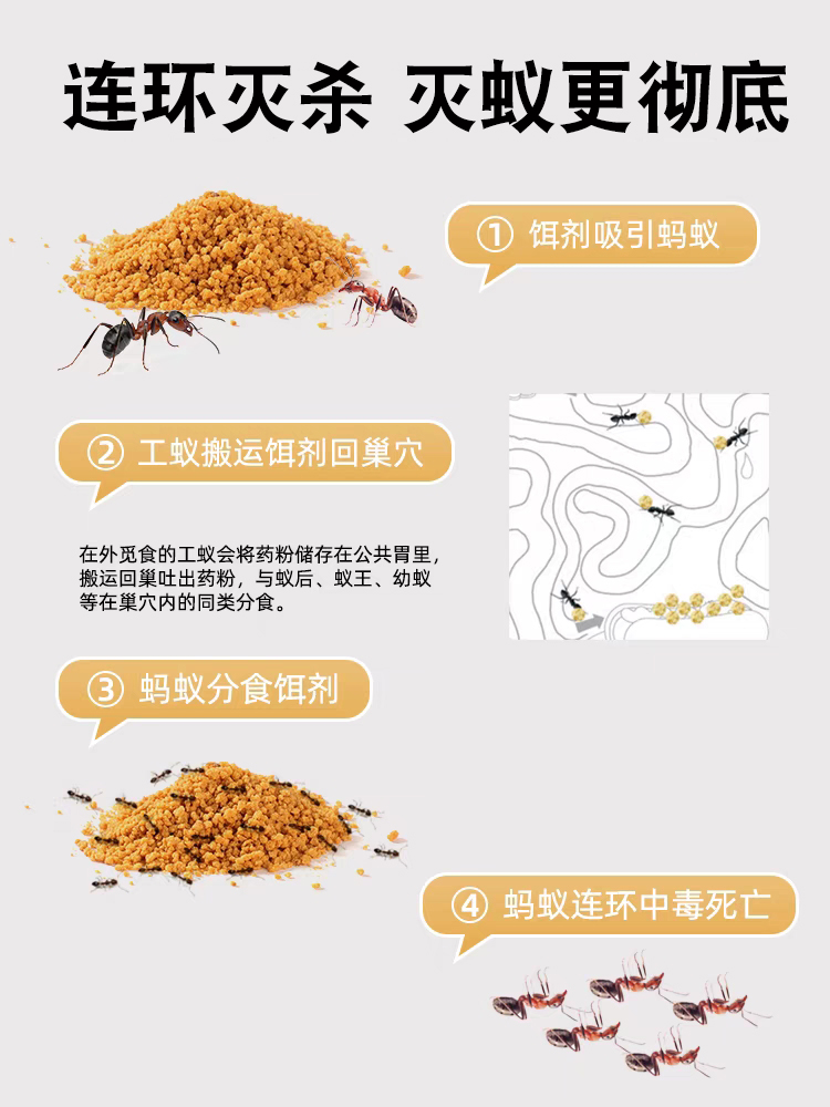 蚂蚁药一锅端家用白蚁防治专用药全窝端室内非无毒杀蚁饵剂户外灭 - 图2