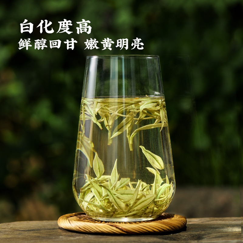 安吉白茶2024新茶上市绿茶100g明前特级黄杜村溪龙乡春茶小凤芽 - 图1