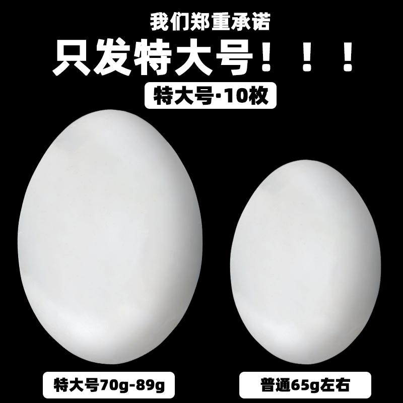 真味达食品旗舰店AA级高邮海鸭蛋鸭蛋咸鸭蛋正宗流油整箱红心新鲜腌制真空包装10枚2