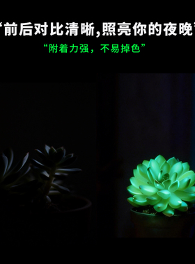 植物夜光喷雾 荧光夜明喷剂 白天吸光晚上放光可发光植物氛围夜灯