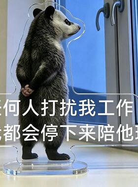 【职场熊】工位解压立牌